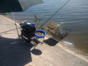 IMG_20180811_134457364.jpg