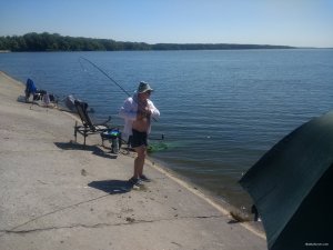 IMG_20180811_134501627.jpg