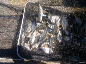 IMG_20180811_142032572.jpg