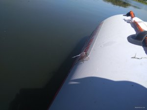 IMG_20180811_111748.jpg