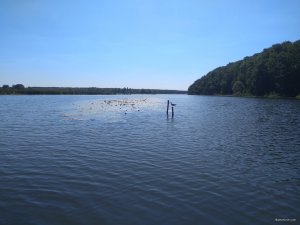 IMG_20180811_104437.jpg