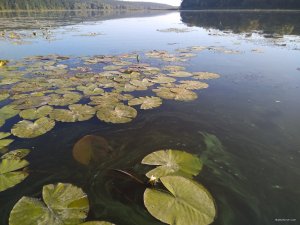 IMG_20180811_071146.jpg