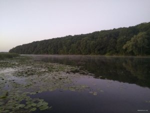IMG_20180811_045709.jpg