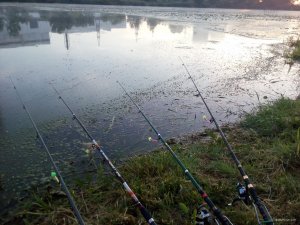 IMG_20180812_054439.jpg