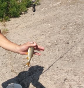 20180812_101248.jpg