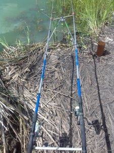 20180813_123300.jpg