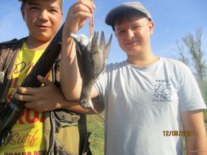 IMG_0353.JPG