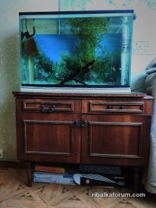IMG_20180619_091618(!!).jpg