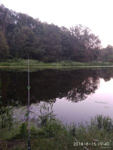 IMG_20180815_194057.jpg