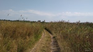 IMG_20180817_144602.jpg