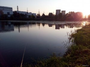 IMG_20180818_060515.jpg