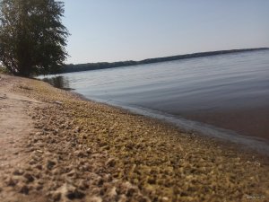 IMG_20180818_094010.jpg
