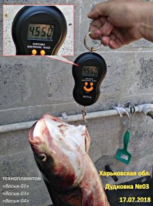 дудковка_4_550.jpg