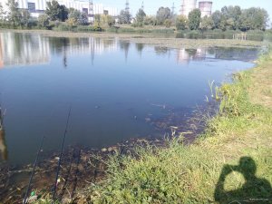 IMG_20180820_162607.jpg