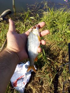 IMG_20180820_171300.jpg