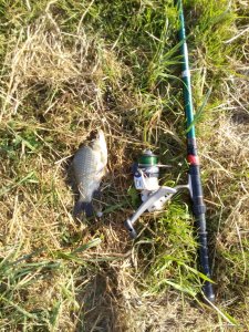 IMG_20180820_172649.jpg