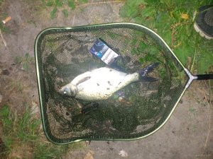 IMG_20180819_050359.jpg