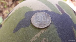37327.jpg