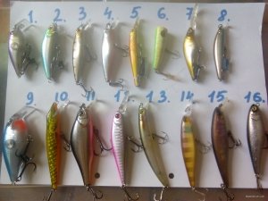 IMG_20180817_155423.jpg