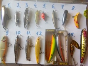 IMG_20180817_160420.jpg