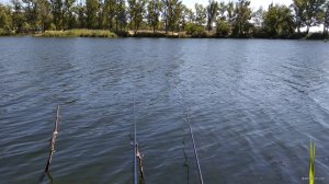 IMG_20180822_112005.jpg