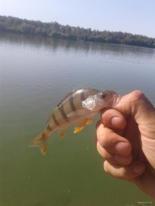 20180823_155054.jpg