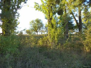 DSC03636.JPG
