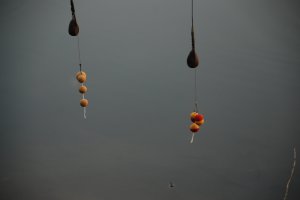 DSC_6888.JPG