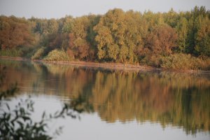 DSC_6896.JPG