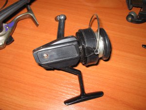 IMG_0017.jpg
