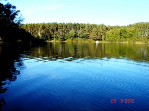 Соича-шайба (4).JPG