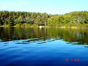 Соича-шайба (6).JPG