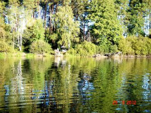 Соича-шайба (24).JPG