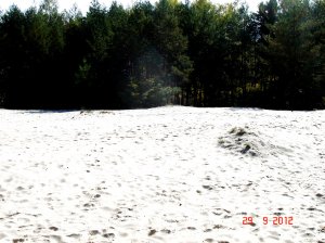 Соича-шайба (26).JPG