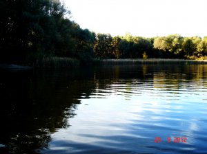 Соича-шайба (28).JPG