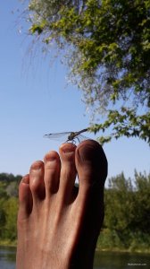 20180825_151100.jpg