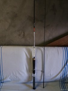 20180826_175337.jpg