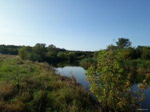 20180823_173232.jpg