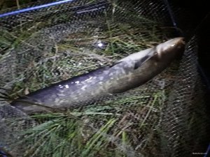 20180823_204827.jpg