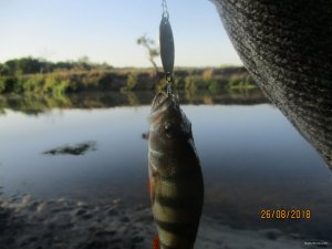 IMG_0368.JPG