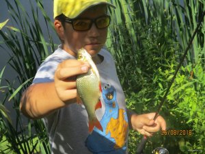 IMG_0371.JPG
