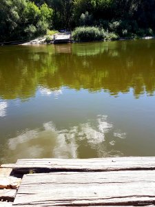 20180825_121344.jpg