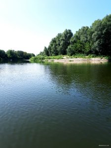 20180825_120902.jpg
