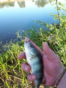20180825_121209.jpg
