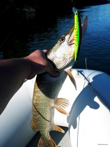20180825_121059.jpg
