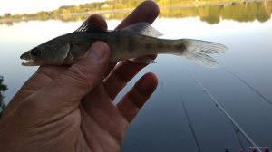IMG_20180828_063416.jpg
