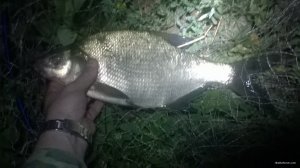 WP_20180825_21_47_02_Pro.jpg