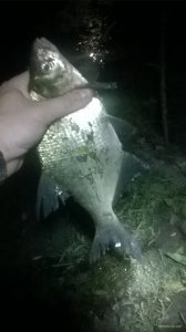 WP_20180825_22_04_45_Pro.jpg