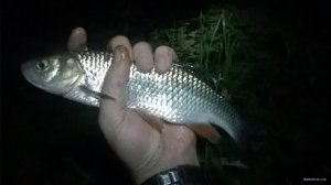 WP_20180826_03_38_45_Pro.jpg