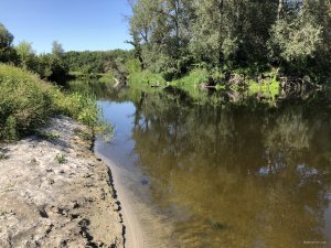 20180823_рыбалка_Северский_Донец(0003).JPG